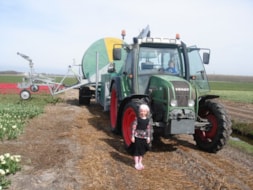 Watering the Tulips